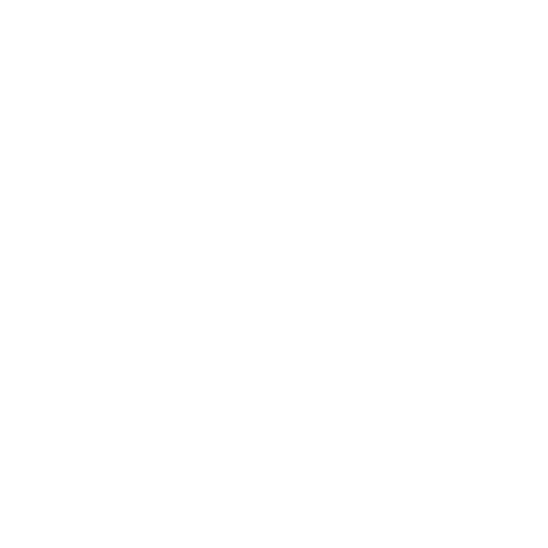 堅毅.png